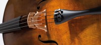 d8b9caf053b1e2c821ec2068c7b9d478_Dominant_Pro_Violoncello_Cello.jpeg