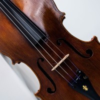 3e6837e582335d44421468cbc77ab7cc_Viola_PeterInfeld_PI200_a.jpeg