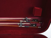 artonus_sonans-2v_cb_det6.JPG