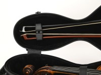 artmg_gamba_vi-s_det8.jpg