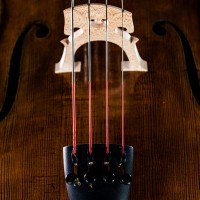 93614fef0ad1de75ef3369d636ce1fc4_Cello_Spirocore_S31_a.jpeg