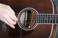 sp-1_natural-sound.jpg