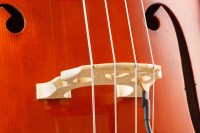 slider-2-vc-1-img_1796-ready-transp-crop1.jpg
