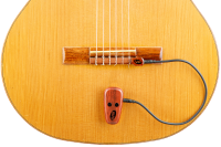 ng-wi_1.png