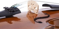 stentor-student II-1500-skrzypce-standard-futeral-smyczek yamaha sandner mtunes 4.jpg