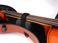 artonus_maior+_bc-m_det5.JPG