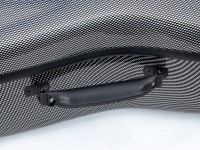artonus_maior+_bk-g_det1.JPG