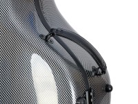 artonus_maior+_bk-g_det3.JPG