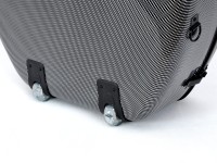 artonus_maior+_bk-g_det8.JPG