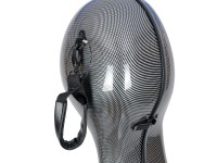 artonus_maior+_bk-g_det9.JPG