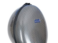 artonus_maior+_bk-g_det10.JPG