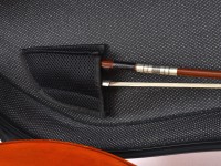 artonus_maior+_rr-m_det4.JPG