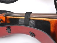 artonus_maior+_rr-m_det5.JPG